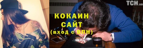 прущие грибы Арсеньев