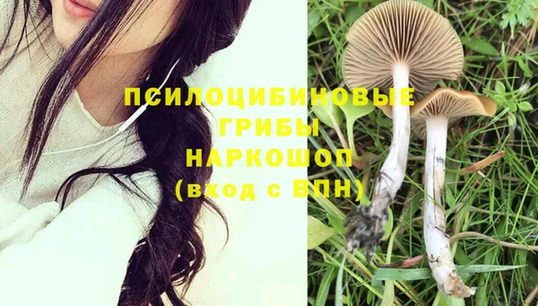 МДПВ Алзамай