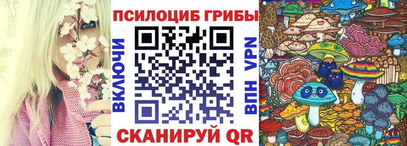 KRAKEN ТОР  Усть-Лабинск  Псилоцибиновые грибы MAGIC MUSHROOMS 
