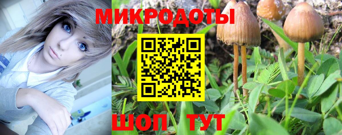 Усть-Лабинск  Псилоцибиновые грибы мухоморы  Псилоцибиновые грибы Magic Shrooms  Вход с VPN 