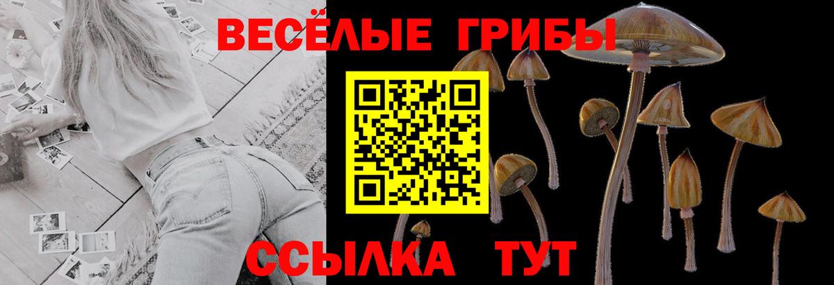 Галлюциногенные грибы мухоморы Усть-Лабинск